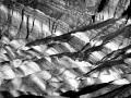 Photo de paysage en noir et blanc par  Amar Guillen, Artiste pho