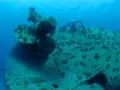 L'épave du Salem Express à Safaga en Mer Rouge en Egypte  Amar