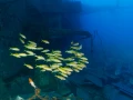 L'épave du Salem Express à Safaga en Mer Rouge en Egypte  Amar