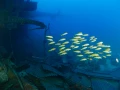 L'épave du Salem Express à Safaga en Mer Rouge en Egypte  Amar