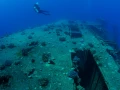 L'épave du Salem Express à Safaga en Mer Rouge en Egypte  Amar