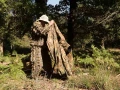 Utiliser un fantôme des bois pour photographier le brame du cer