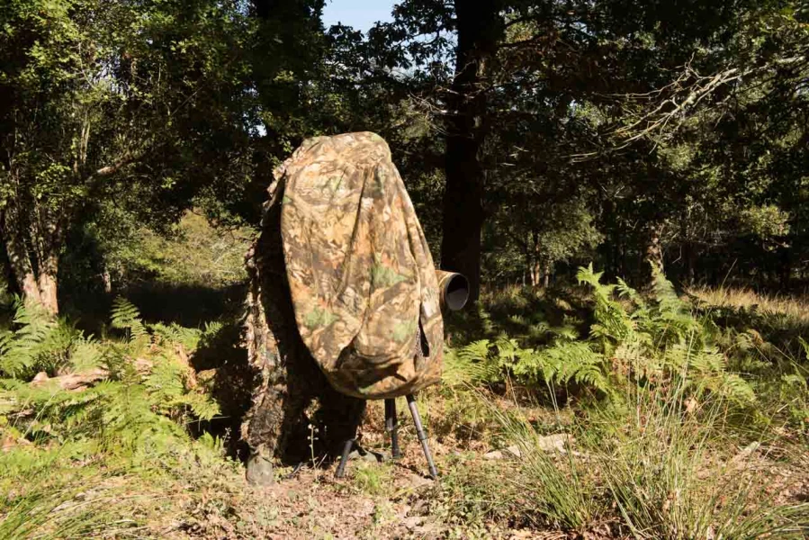 Utiliser un fantôme des bois pour photographier le brame du cer