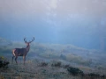 Photo d'un cerf pendant le brame du cerf par Amar Guillen, Artis