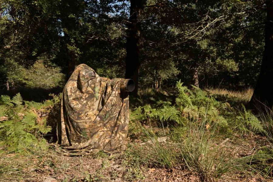 Utiliser un fantôme des bois pour photographier le brame du cer