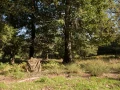 Utiliser un fantôme des bois pour photographier le brame du cer