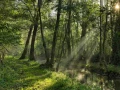 11 paysages en couleur