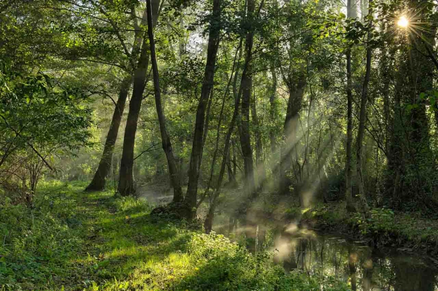 11 paysages en couleur