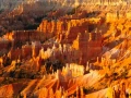 Photograph of a landscape in Color by Amar Guillen, photographer