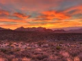 Photograph of a landscape in Color by Amar Guillen, photographer