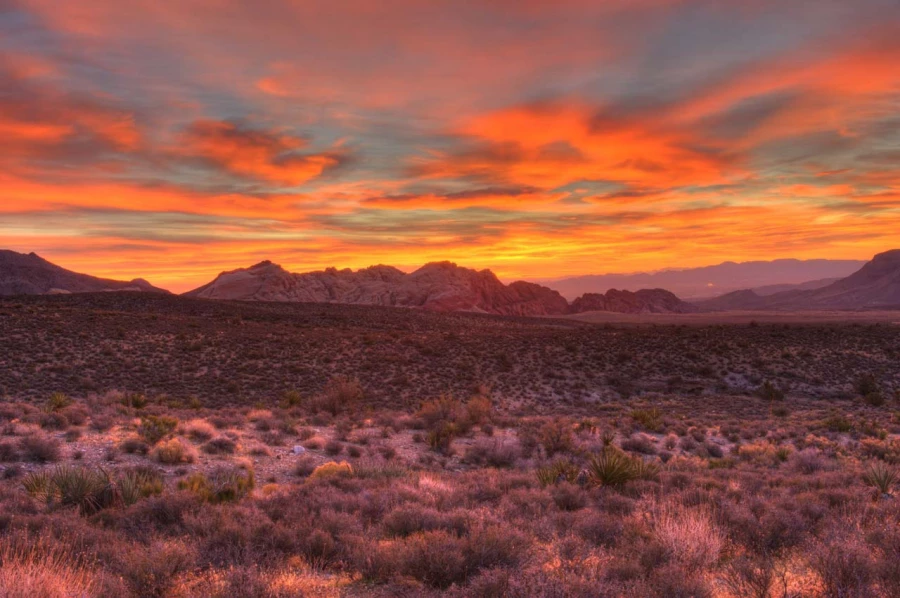 Photograph of a landscape in Color by Amar Guillen, photographer
