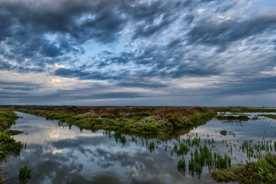 Photo de la nature de la Charente-Maritime par Amar Guillen, Art