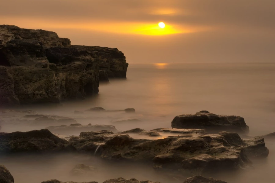 Photo de la nature de la Charente-Maritime par Amar Guillen, Art