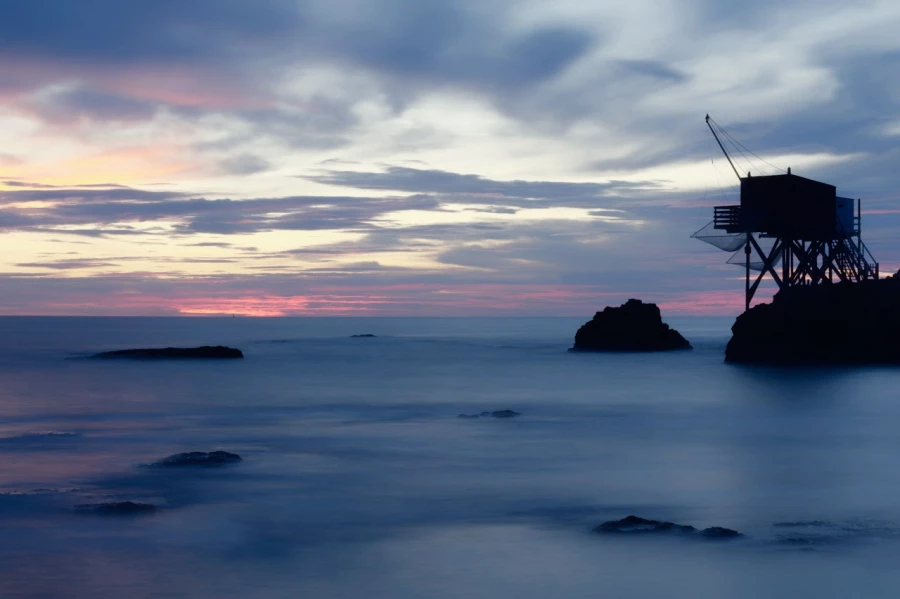 Photo de la nature de la Charente-Maritime par Amar Guillen, Art