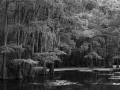 Landscape in black and white of Texas by Amar Guillen, photograp