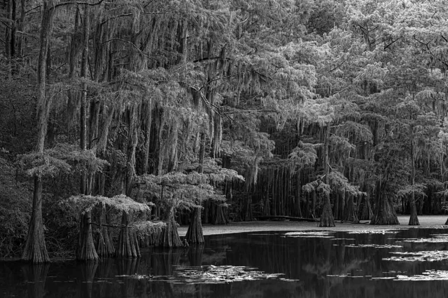Landscape in black and white of Texas by Amar Guillen, photograp