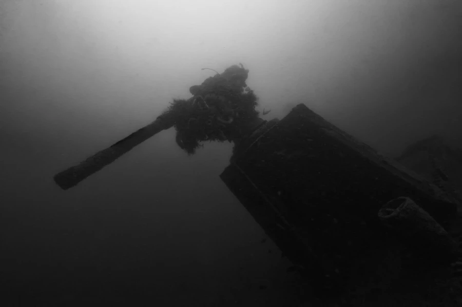 Photo de la nature de la Charente-Maritime par Amar Guillen, Art