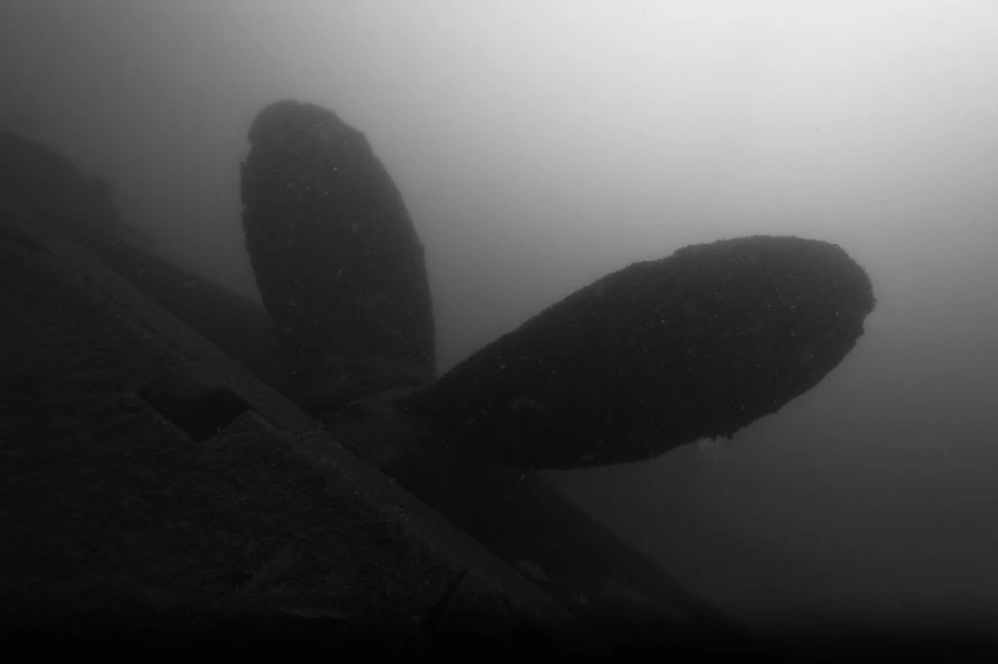 Photo de la nature de la Charente-Maritime par Amar Guillen, Art