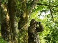 Amar Guillen professional photographer of nature - wildlife, lan