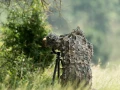 Amar Guillen professional photographer of nature - wildlife, lan