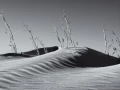 Amar Guillen photographe professionnel de paysages.