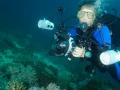Amar Guillen photographe professionnel de la nature - animalier,
