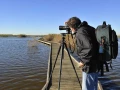 Amar Guillen photographe professionnel de la nature - animalier,