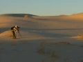 Amar Guillen photographe professionnel de la nature - animalier,