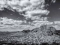 Amar Guillen professional landscape photographer