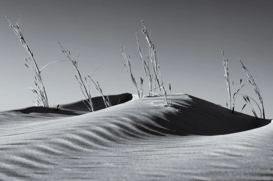 Amar Guillen professional landscape photographer