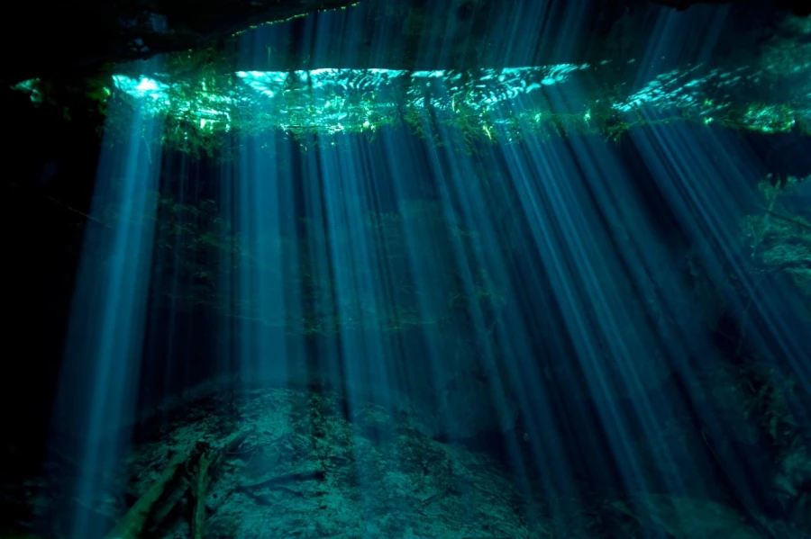 Amar Guillen underwater professional photographer