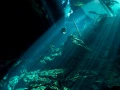 Amar Guillen underwater professional photographer