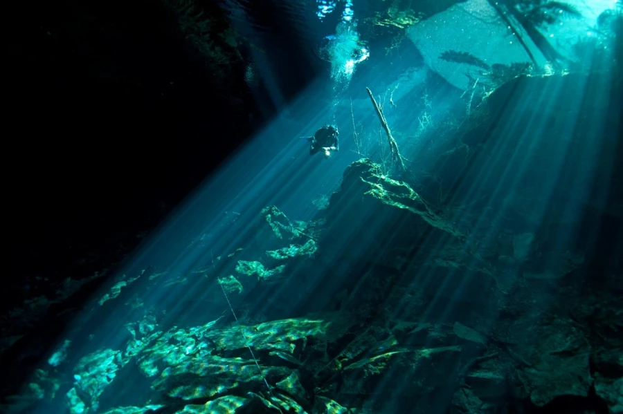 Amar Guillen underwater professional photographer