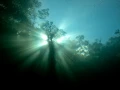Amar Guillen underwater professional photographer