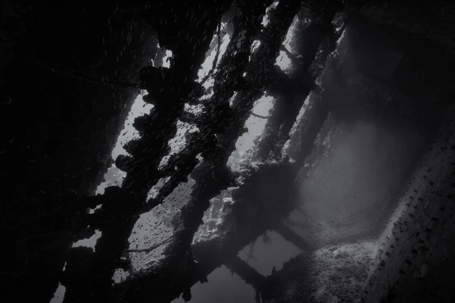 Amar Guillen underwater professional photographer