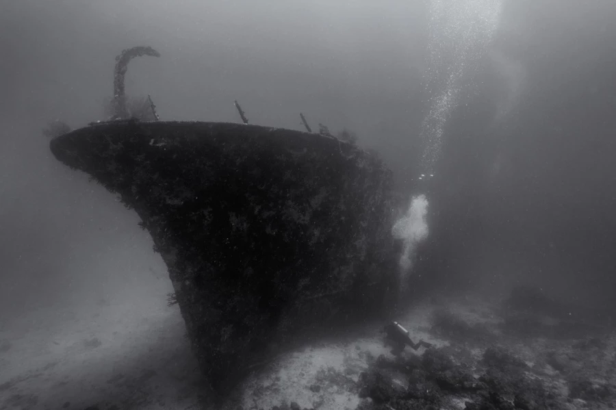 Amar Guillen underwater professional photographer