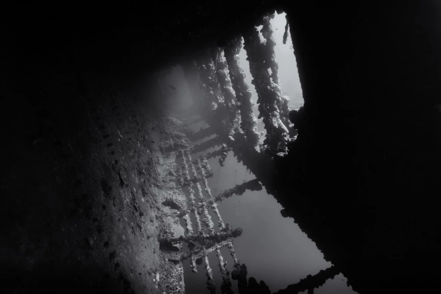 Amar Guillen underwater professional photographer