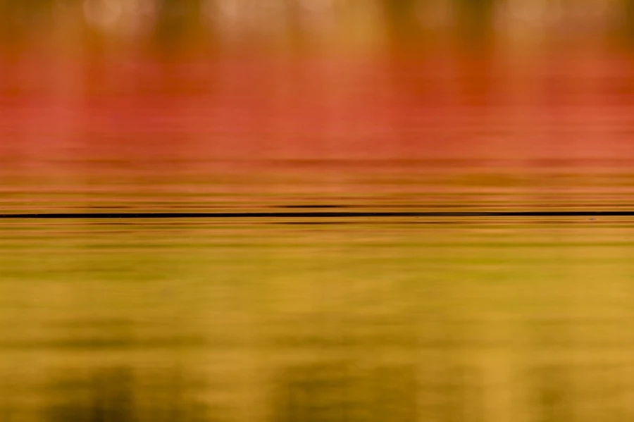 Vaguelettes à la surface de l'eau sur un Etang en Dombes. Photo