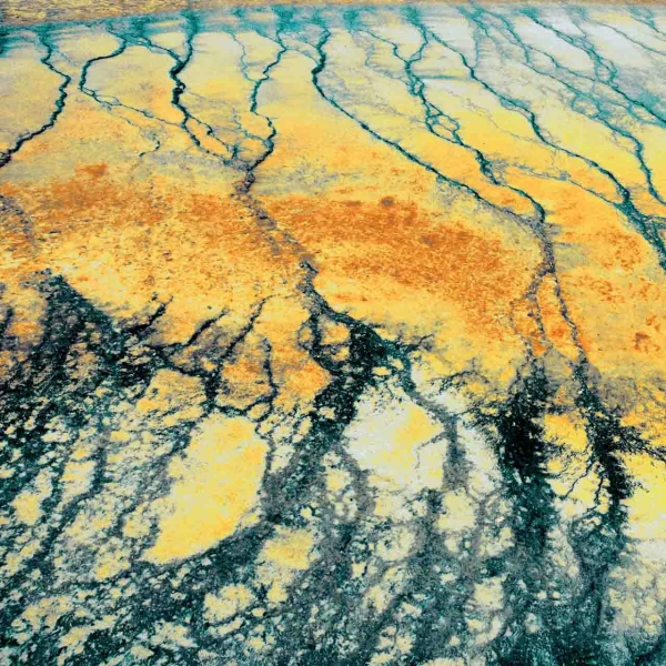 Grand Prismatic du Yellowstone. Photo conceptuelle.