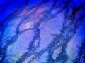 Grand Prismatic du Yellowstone. Photo conceptuelle.