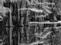 Photo de paysages en noir et blanc. Amar Guillen Photographe.