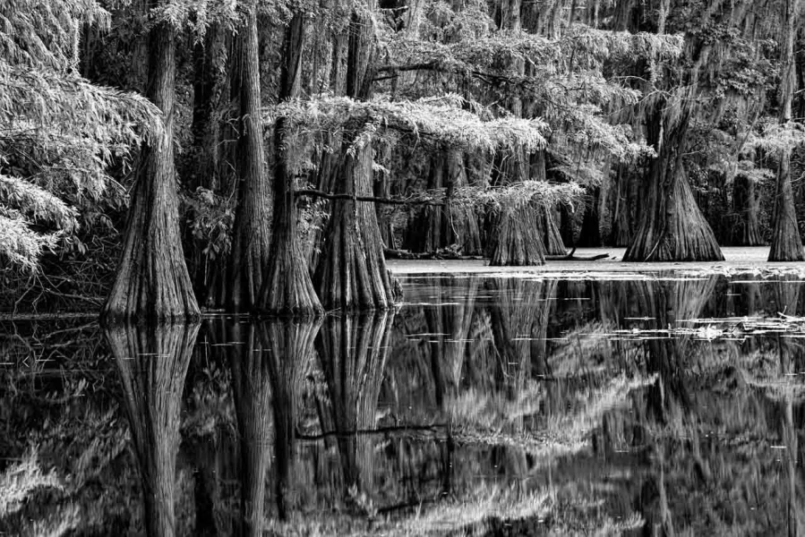 Photo de paysages en noir et blanc. Amar Guillen Photographe.