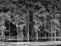 Photo de paysages en noir et blanc. Amar Guillen Photographe.