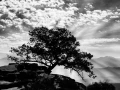Photo de paysages en noir et blanc. Amar Guillen Photographe.