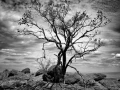 Photo de paysages en noir et blanc. Amar Guillen Photographe.