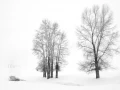 Photo de paysages en noir et blanc. Amar Guillen Photographe.
