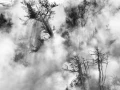 Photo de paysages en noir et blanc. Amar Guillen Photographe.