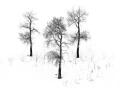 Photo de paysages en noir et blanc. Amar Guillen Photographe.