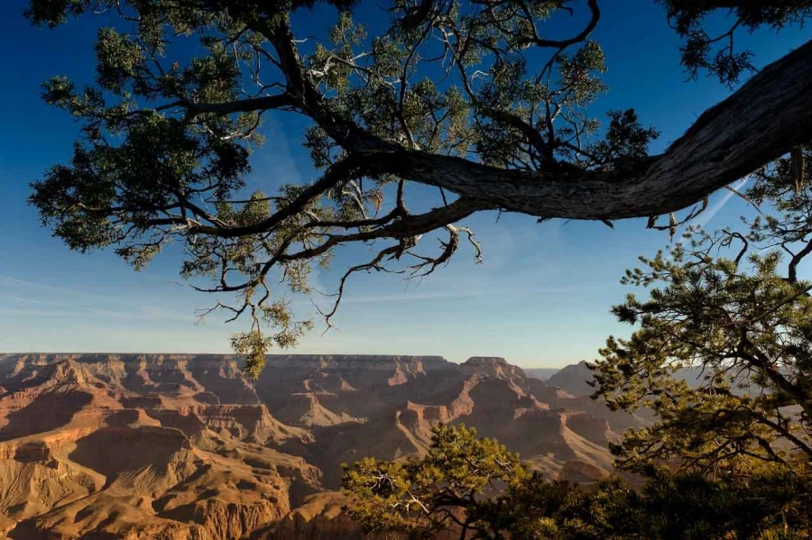 La rive sud du Grand Canyon dans l'état de l'Arizona aux Etats-