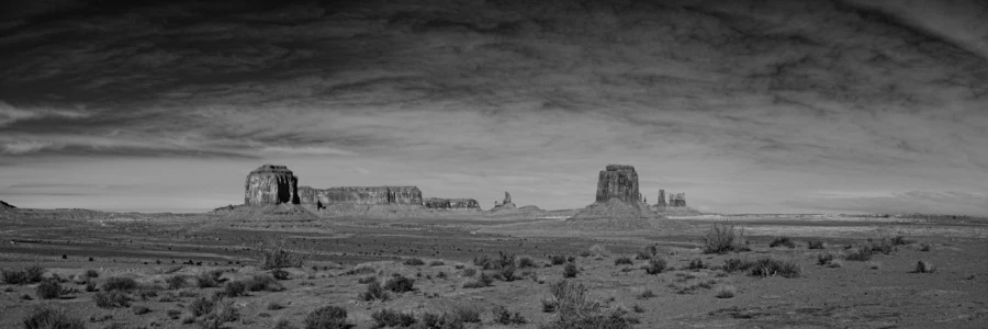 Paysage en noir et blanc de Monument Valley dans l'état de l'Ar